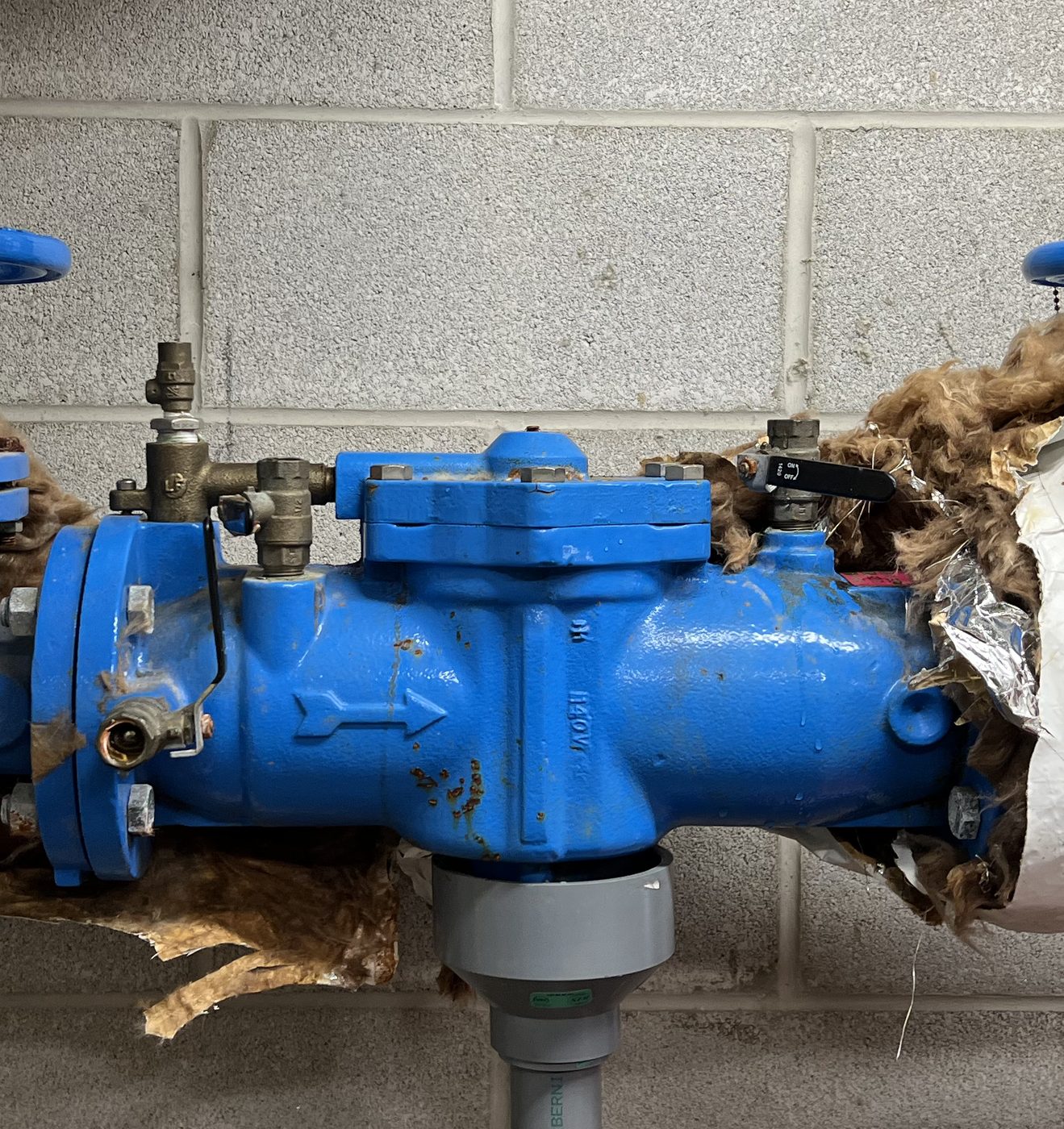 A blue Watts LF009 reduced-pressure assembly with its pipe insulation opened for access