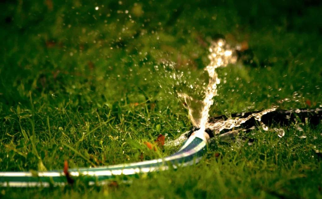 Close-up of leaking garden hose spraying water on grass