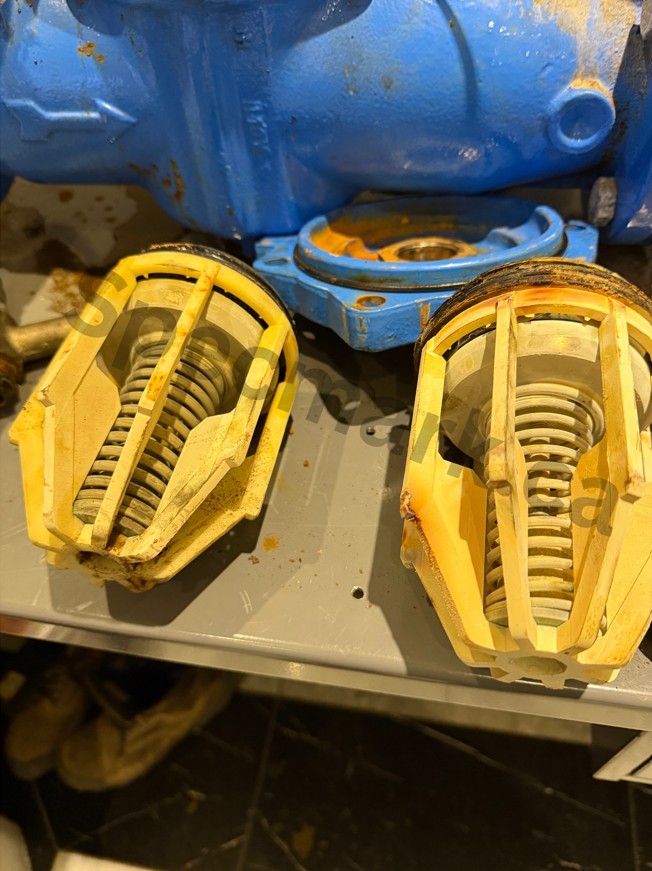 debris in backflow devices